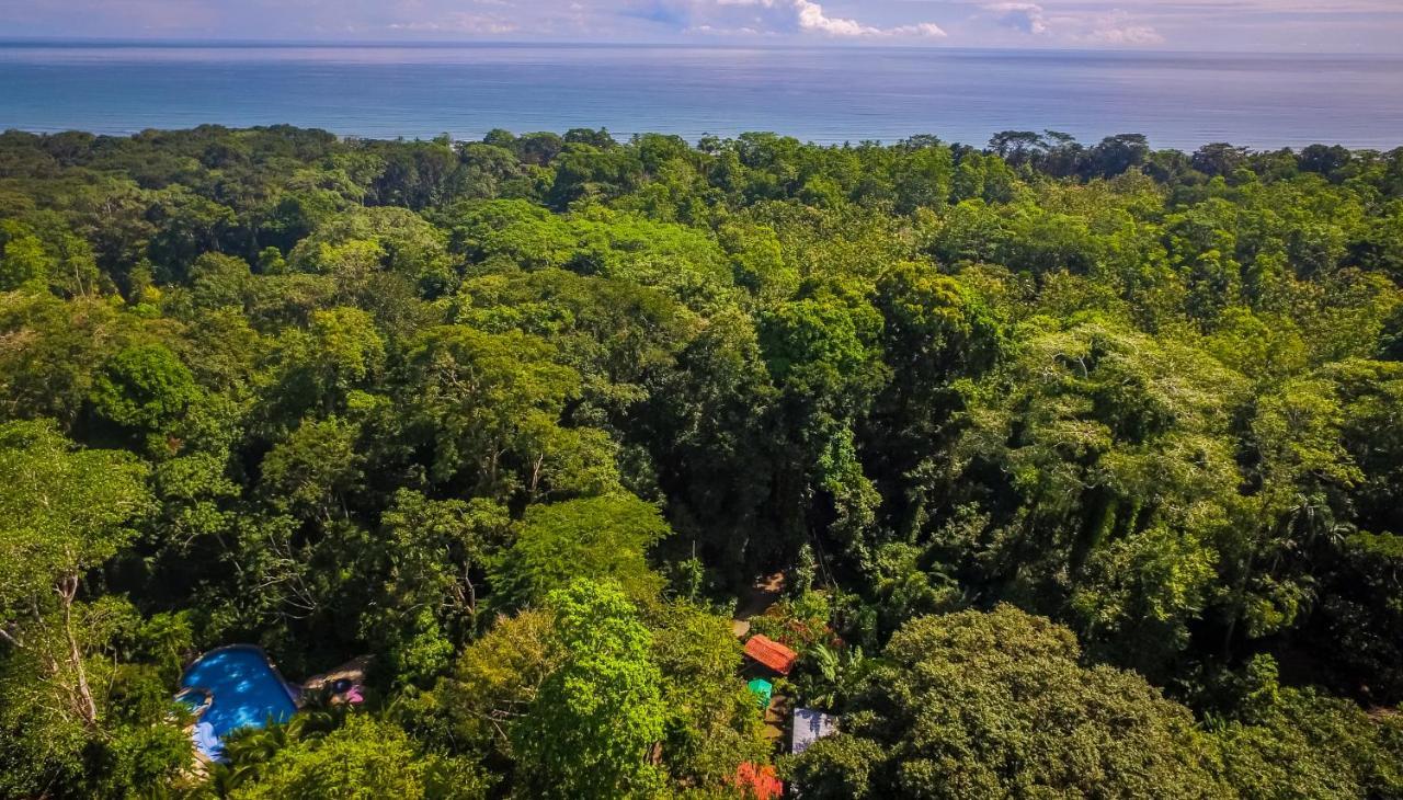 The Goddess Garden Eco-Resort Cahuita Dış mekan fotoğraf