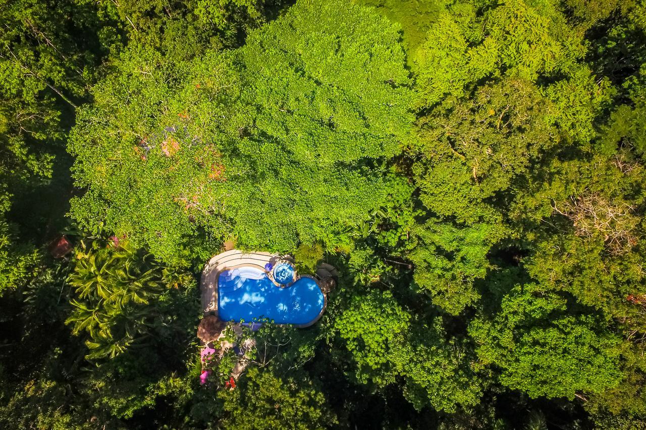 The Goddess Garden Eco-Resort Cahuita Dış mekan fotoğraf